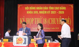 Thúc đẩy thi công cao tốc Đồng Đăng - Trà Lĩnh