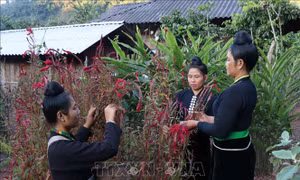 Khám phá tiểu vùng văn hóa của cộng đồng dân tộc Cống bên dòng Nậm Chả