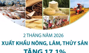 2 tháng năm 2026: Xuất khẩu nông, lâm, thủy sản tăng 17,1%