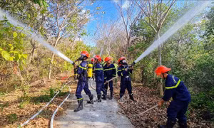 Diễn tập phương án chữa cháy Khu Bảo tồn loài - sinh cảnh Vườn chim Bạc Liêu