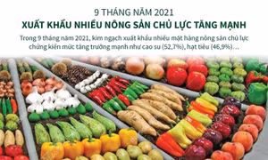 Kim ngạch xuất khẩu nhiều mặt hàng nông sản chủ lực tăng mạnh 