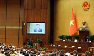 Nỗ lực hơn nữa trong triển khai thực hiện các nghị quyết của Quốc hội