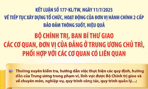 Kết luận 177-KL/TW: Các nhiệm vụ của các cơ quan, đơn vị của Đảng ở Trung ương
