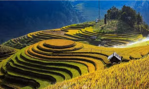 Lễ hội khám phá danh thắng Quốc gia đặc biệt Ruộng bậc thang Mù Cang Chải