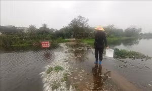 Vụ cá chết ở suối Cổ Đam, Thanh Hóa: Nguyên nhân do nguồn nước nhiễm khuẩn
