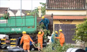Ứng phó bão Noru: Chủ động, quyết liệt để giảm thiểu thiệt hại