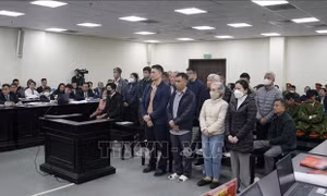 Cựu Viện trưởng Viện Y dược học dân tộc TP Hồ Chí Minh bị đề nghị từ 15-17 năm tù