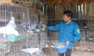 Chú trọng phát triển đảng viên người dân tộc thiểu số ở vùng cao Lai Châu