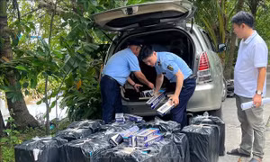 Xử lý các đối tượng xúc phạm, cản trở người thi hành công vụ