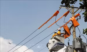 Ngầm hóa lưới điện ở TP Hồ Chí Minh - Bài cuối: Kiến tạo không gian đô thị văn minh, hiện đại