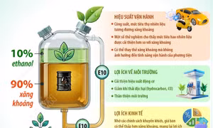 Một số lợi ích của xăng sinh học E10