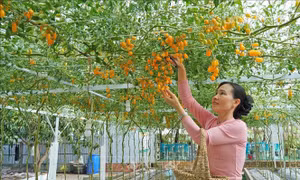 Khơi dậy khát vọng làm giàu, xây dựng nông thôn mới bền vững