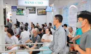 Nắng nóng cực đoan tiềm ẩn nguy cơ suy thận cấp do mất nước