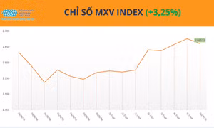 Giá cà phê, đậu tương tăng vọt, MXV-Index nối dài đà khởi sắc sang tuần thứ ba liên tiếp