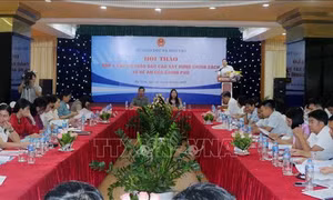 Góp ý Dự thảo các báo cáo xây dựng chính sách và đề án của Chính phủ về giáo dục - đào tạo
