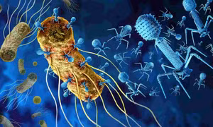 Mô hình 3D về virus thực khuẩn hứa hẹn giải pháp thay thế thuốc kháng sinh