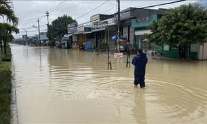 Bình Định: Hoãn các cuộc họp không cần thiết để tập trung ứng phó với mưa, lũ
