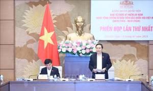 Tổ chức kỷ niệm 80 năm Ngày Tổng tuyển cử đầu tiên bảo đảm trang trọng, thiết thực