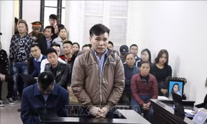 Ca sỹ Châu Việt Cường kháng cáo xin giảm nhẹ hình phạt