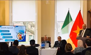 Việt Nam - Đối tác kinh tế năng động và giàu tiềm năng nhất của Ireland tại ASEAN
