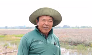 Đại hội XIV của Đảng: Niềm tin vào vận hội mới của dân tộc