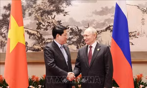 Chủ tịch nước Lương Cường hội kiến Tổng thống Nga Vladimir Putin