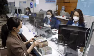 Hơn 88% tổ chức tín dụng dự kiến lợi nhuận trước thuế tăng trưởng dương
