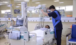 Cấp cứu nam thanh niên bị ong đốt hơn 50 vết gây biến chứng nguy hiểm