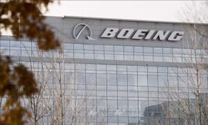 Boeing không ban hành hướng dẫn mới cho các hãng sử dụng máy bay 737 MAX 8