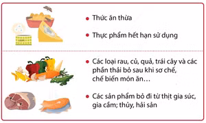 Nhận diện chất thải thực phẩm