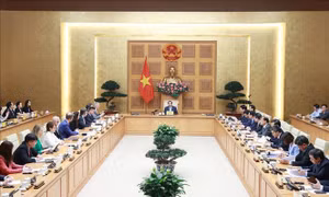 Thúc đẩy quan hệ Đối tác toàn diện Việt Nam - Hoa Kỳ thực chất, hiệu quả, bình đẳng, cùng có lợi