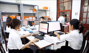 Thích ứng với mô hình mới, nâng chất lượng giải quyết án kinh doanh