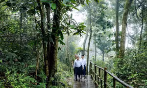 Chuyển giao Vườn quốc gia Ba Vì về UBND thành phố Hà Nội quản lý