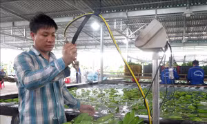 Thứ trưởng Phùng Đức Tiến: Ngành nông nghiệp sẽ đạt mục tiêu xuất khẩu trên 40 tỷ USD