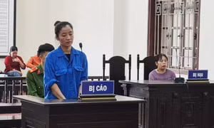 Lừa đảo xin việc vào ngành giáo dục, nguyên nữ giáo viên lĩnh án 10 năm tù