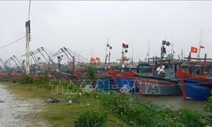 Thanh Hóa chủ động triển khai nhiều phương án ứng phó với bão số 13 