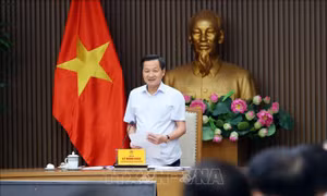 Phó Thủ tướng Lê Minh Khái: Xử lý dứt điểm dự án Nhà máy Bột giấy Phương Nam