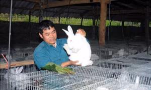 Người Trưởng bản gương mẫu đi đầu phát triển kinh tế, xóa đói nghèo