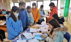 Chú trọng tư vấn việc làm cho người lao động