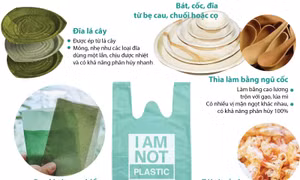 Một số sản phẩm sáng tạo thay thế đồ nhựa dùng 1 lần trên thế giới