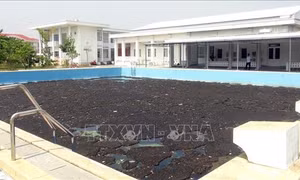 Bể bơi tiền tỷ không hoạt động vì đất chưa được cấp 'sổ đỏ'
