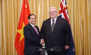Thủ tướng Phạm Minh Chính hội kiến Chủ tịch Quốc hội New Zealand