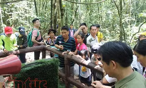 TP Hồ Chí Minh chấn chỉnh việc tổ chức hoạt động ngoại khóa cho học sinh