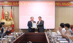 Đồng chí Quản Minh Cường giữ chức Phó trưởng Ban Tổ chức Trung ương