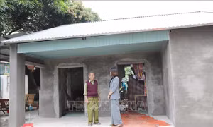 Mỗi địa phương thiết kế tối thiểu 3 mẫu nhà hỗ trợ hộ nghèo cải thiện chỗ ở