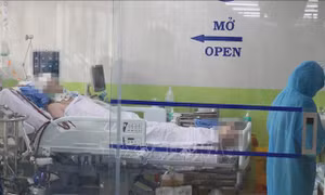 Thực hiện kỹ thuật ECMO giúp tăng tỷ lệ bệnh nhân nặng được cứu sống