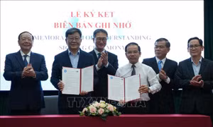 Thúc đẩy hợp tác nghiên cứu khoa học xã hội và nhân văn giữa Việt Nam và Hàn Quốc
