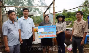Cà Mau kịp thời hỗ trợ người dân bị ảnh hưởng lốc xoáy tại xã Đá Bạc