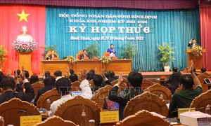 Nhiều vấn đề nóng được chất vấn tại Kỳ họp thứ 6 HĐND tỉnh Bình Định