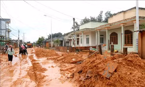 Khẩn trương khắc phục sự cố cát đỏ gây ngập đường và nhà dân ở Phan Thiết